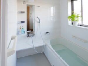 浴室全体を掃除したい