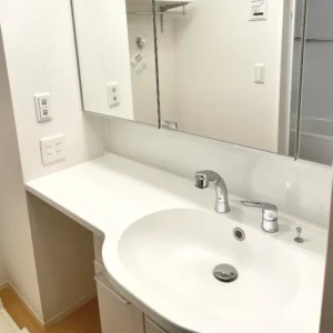 洗面所全体を掃除したい